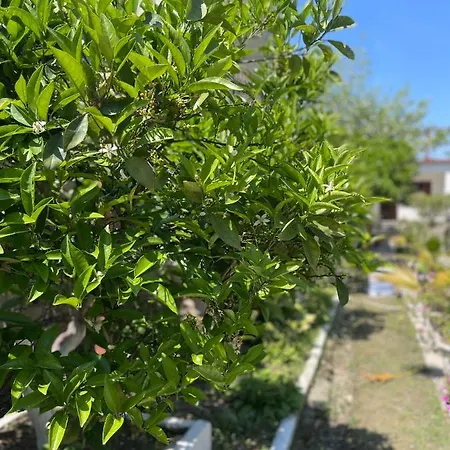 招待所 Vila Cano *